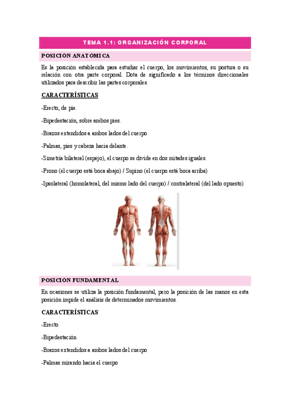 Miniatura del documento FUNDAMENTOS-TEMA-1.1.pdf