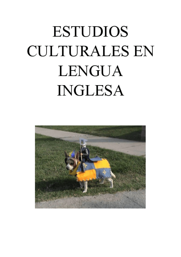 Miniatura del documento estudios-culturales-5.pdf