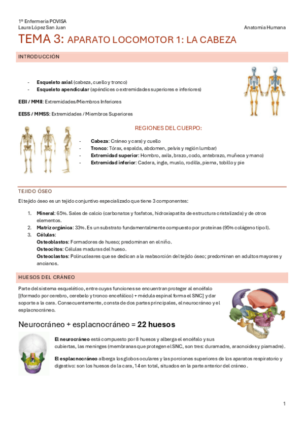 Miniatura del documento Tema-3-aparato-locomotor-1.pdf