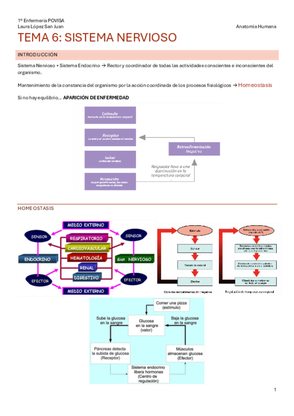 Miniatura del documento Tema-6-Sistema-Nervioso.pdf
