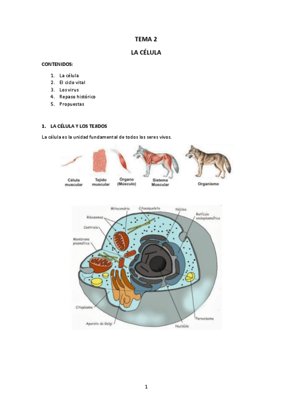 Miniatura del documento TEMA-2.pdf