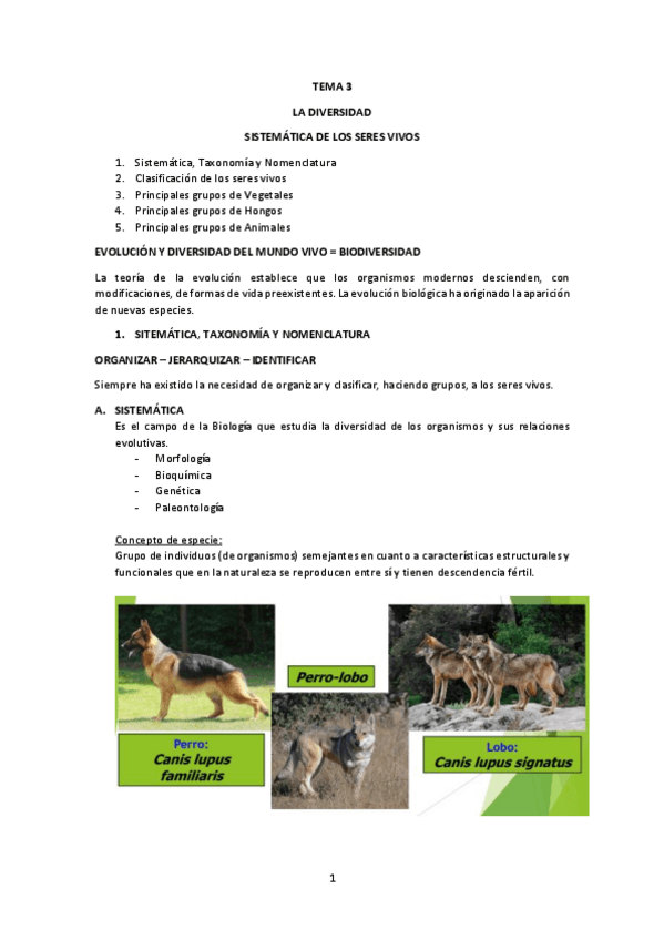 Miniatura del documento TEMA-3.pdf