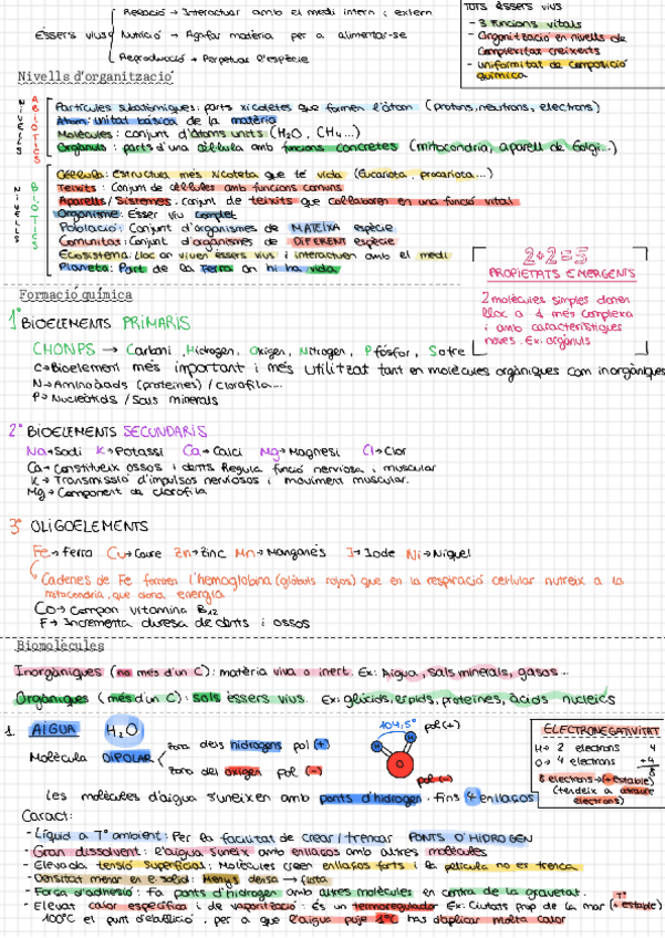 Miniatura del documento NIVELES-DE-ORGANIZACION.pdf