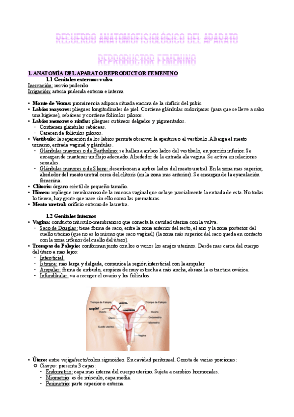 Miniatura del documento Evolutiva-t1.pdf