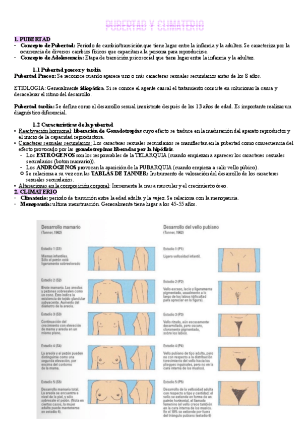 Miniatura del documento Evolutiva-t2.pdf