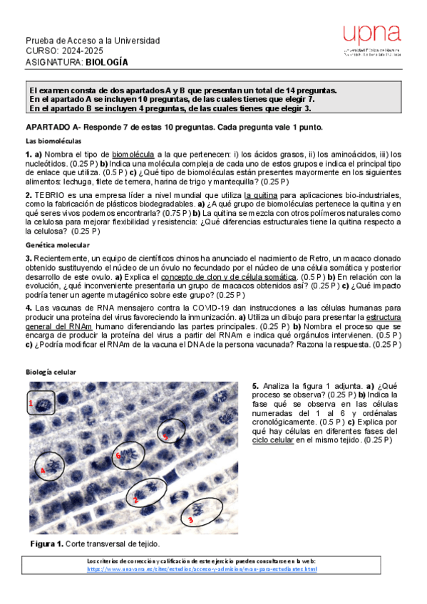Miniatura del documento Biologia-Navarra-Extraordinaria-2025.pdf