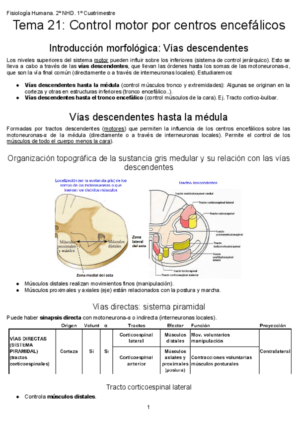 Miniatura del documento Tema-21-Control-motor-por-centros-encefalicos.pdf