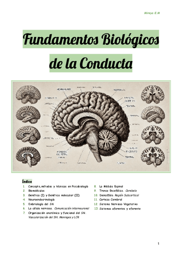 Miniatura del documento Apuntes-Fubico-2425-Mitad-1.pdf.pdf