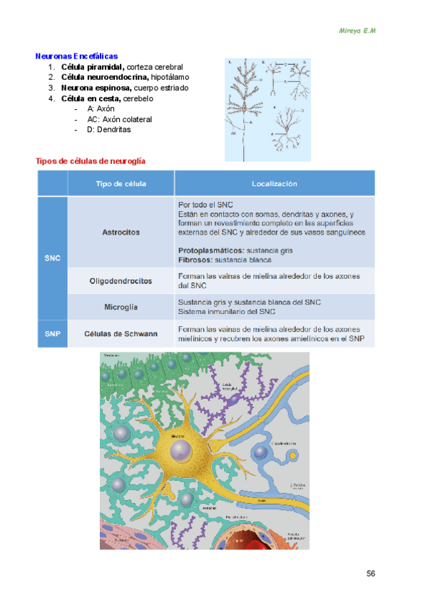 Miniatura del documento Apuntes-Fubico-2425 (Mitad 2).pdf.pdf