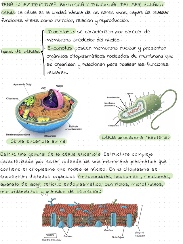Miniatura del documento TEMA-2-TBE.pdf