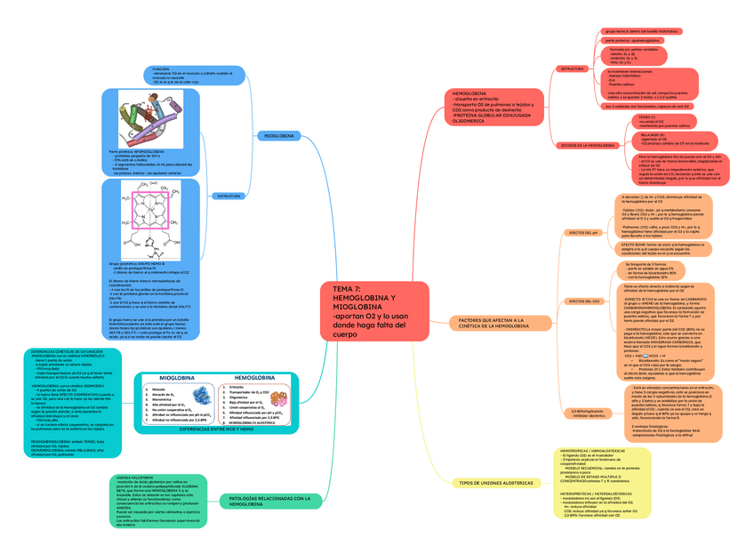 Miniatura del documento TRMA-7.-HEMO-Y-MIO-GLOBINA.pdf