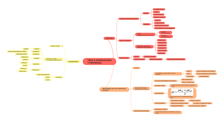 Miniatura del documento TEMA-3.-AMINOACIDOS.pdf