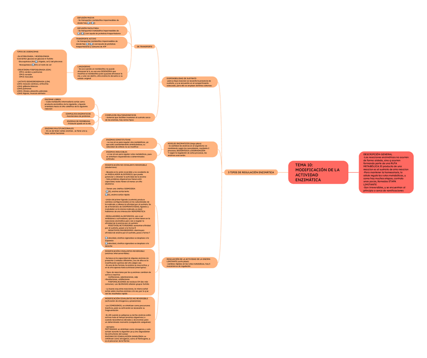 Miniatura del documento TEMA-10-MODIFICACION-DE-LA-ACTIVIDAD.pdf