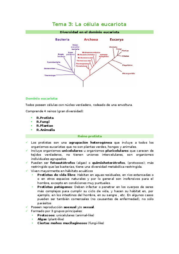 Miniatura del documento Tema-3.docx