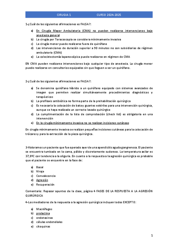 Miniatura del documento 2025-Examen.pdf