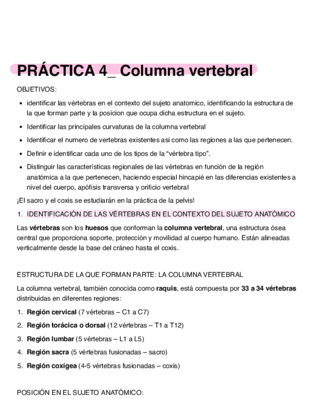 Miniatura del documento Practica-4-anatomia-Columna-vertebral.pdf