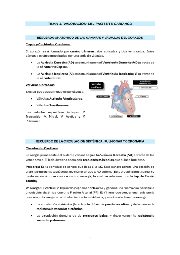 Miniatura del documento TEMA-1.-VALORACION-DEL-PACIENTE.pdf