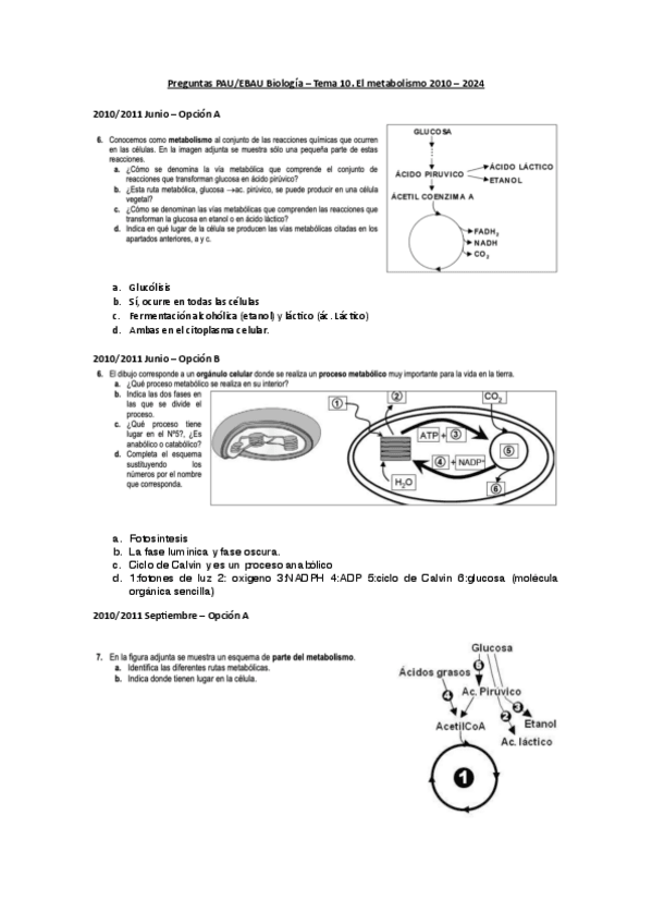 Miniatura del documento PREGUNTAS-PAU-RESUELTAS-BIOLOGIA-Metabolismo.pdf