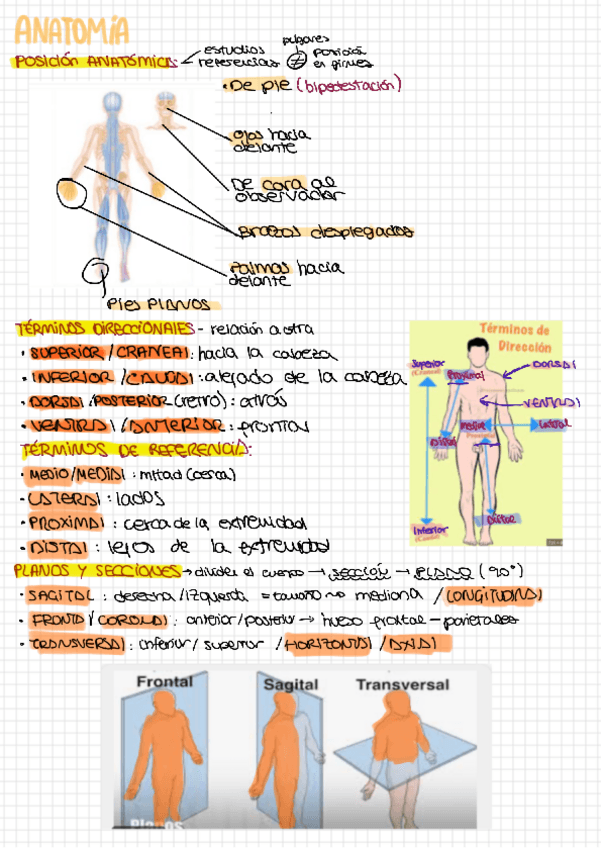 Miniatura del documento Terminologia-basica.pdf