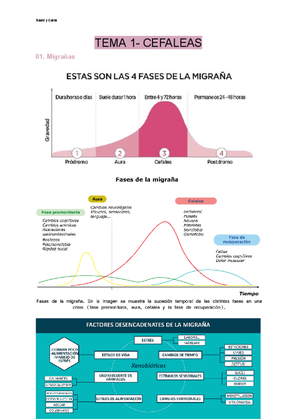 Miniatura del documento 1-CEFALEAS.pdf