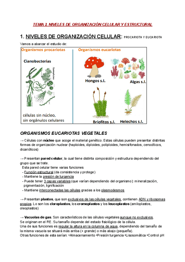 Miniatura del documento BOT T2. Niveles de organizacion celular y estructural.pdf