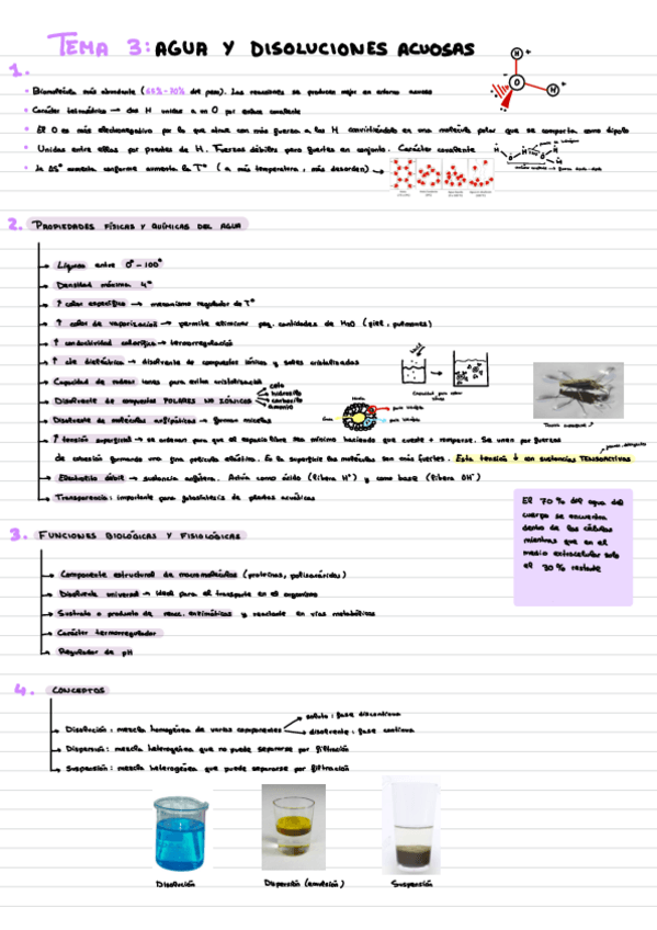 Miniatura del documento TEMA-3-Agua-y-disoluciones-acuosas.pdf