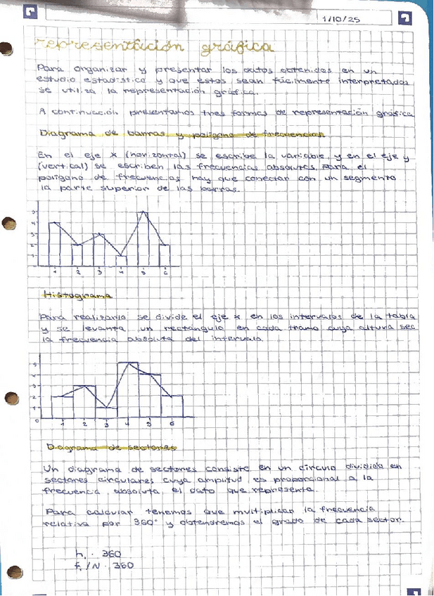 Miniatura del documento representacion-grafica.pdf
