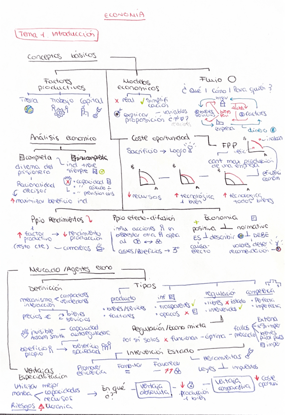 Miniatura del documento Tema-1-economia.pdf