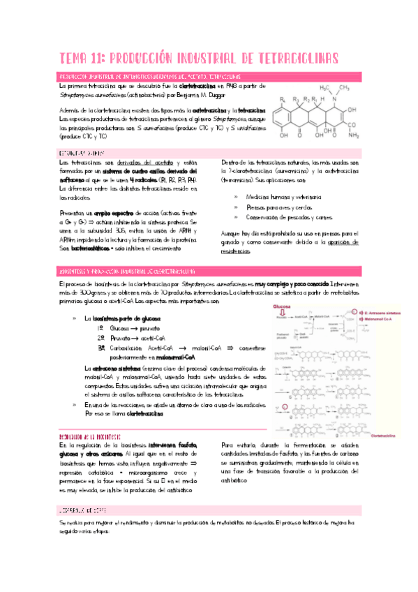 Miniatura del documento Tema11Ampli.pdf