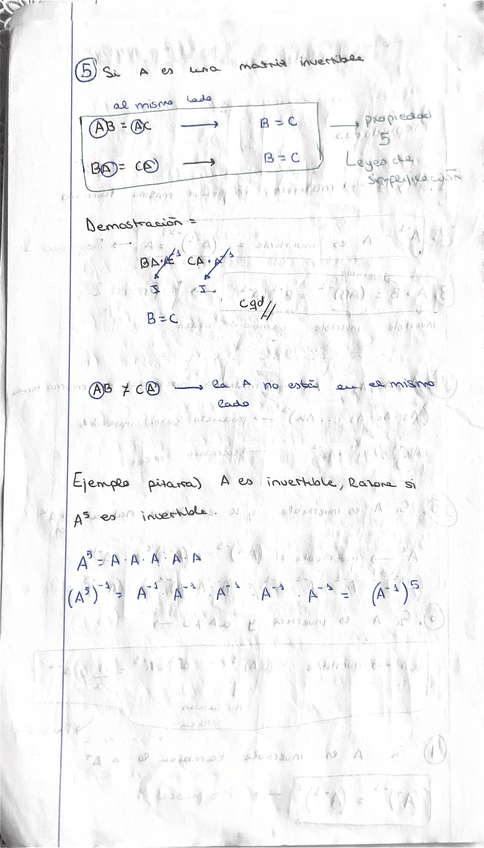 Miniatura del documento DETERMINANTES-MATRICES-INVERSA-TRANSPUESTA-EJERCICIO-EXAMEN.pdf