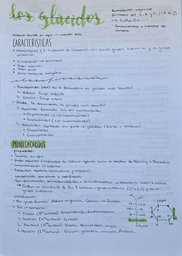 Miniatura del documento T.2.glucidos.pdf