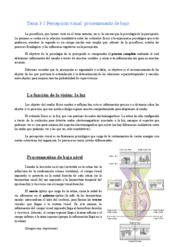 Miniatura del documento Tema-3.1-Procesamiento-visual de bajo nivel.pdf