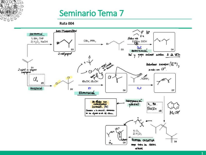 Miniatura del documento sem7-004-y-005.pdf