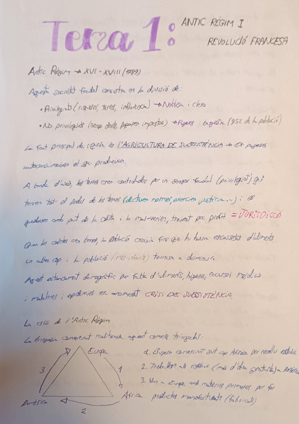 Miniatura del documento Socials-Antic-Regim-i-Revolucio-Francesa.pdf