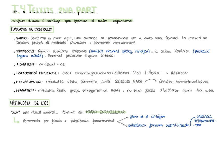 Miniatura del documento T.4-teixits-part-2.pdf