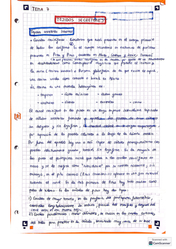Miniatura del documento CamScanner-10-10-25-12.01.pdf