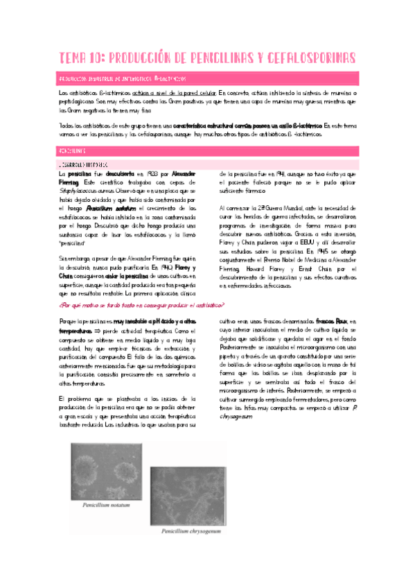 Miniatura del documento Tema10Ampli.pdf