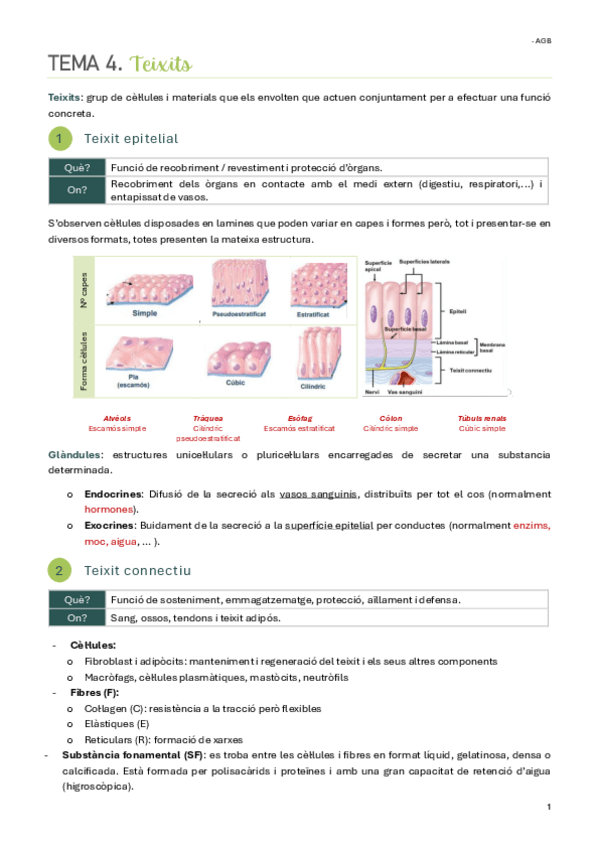Miniatura del documento TEMA-4.-Teixits.pdf
