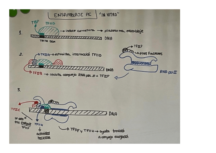 Miniatura del documento Ensamblaje-PIC.pdf
