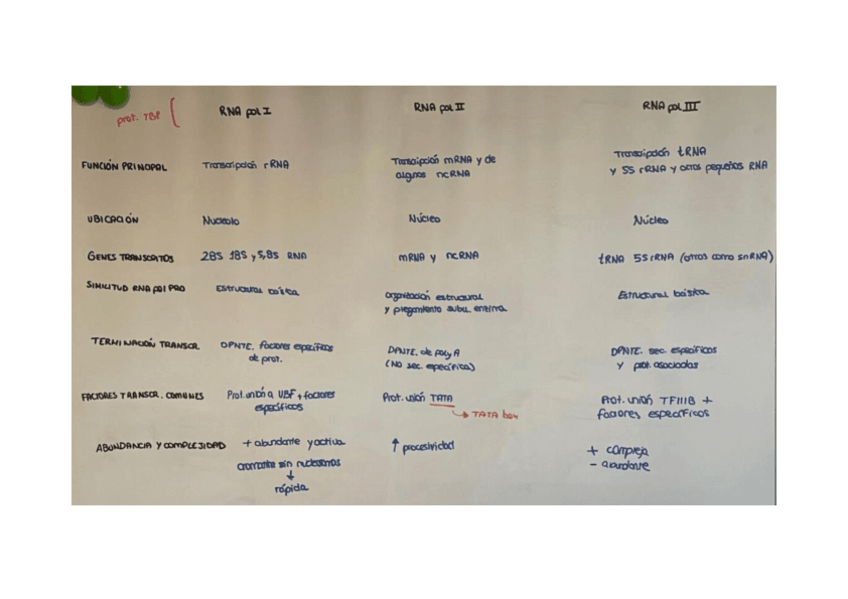 Miniatura del documento Tipos-de-RNA-polimerasas.pdf