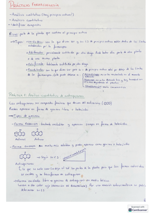 Miniatura del documento Apuntes-practicas.pdf