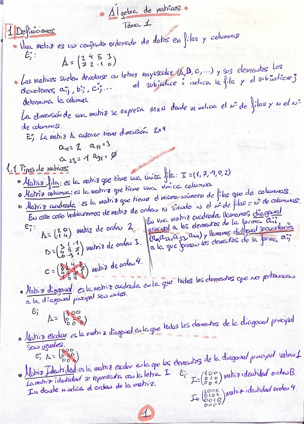 Miniatura del documento matrices.pdf