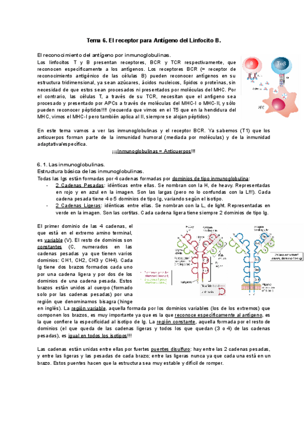 Miniatura del documento Tema-6-Inmunologia.pdf