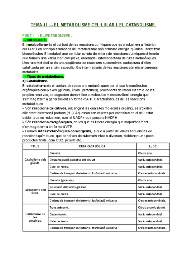 Miniatura del documento T11.-EL-METABOLISME-CELLULAR-I.-CATABOLISME...pdf