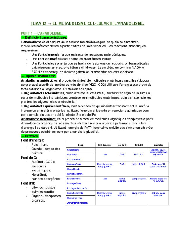 Miniatura del documento T12.-EL-METABOLISME-CELLULAR-II.-ANABOLISME..pdf