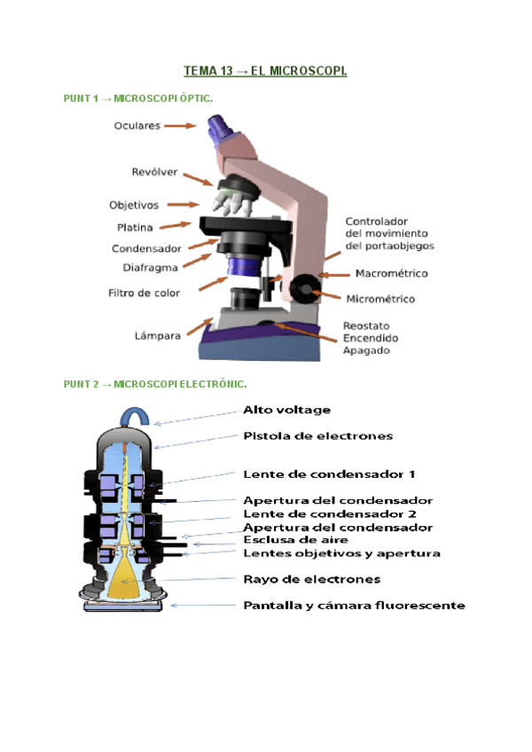 Miniatura del documento T13.-El-Microscopi..pdf