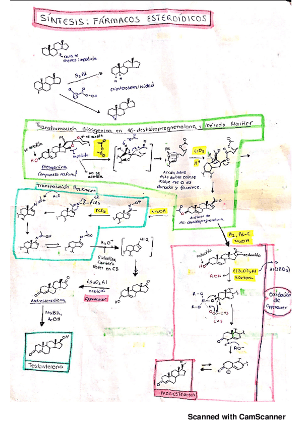 Miniatura del documento Esquemas síntesis segundo parcial.pdf