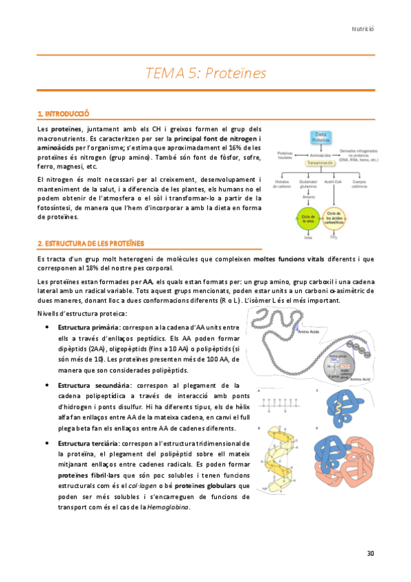 Miniatura del documento TEMA-5.pdf