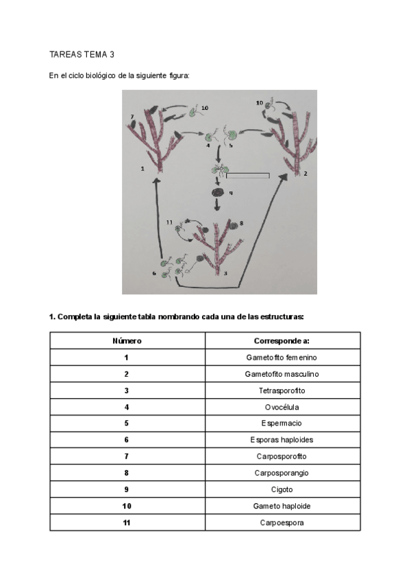 Miniatura del documento TAREAS-TEMA-3.pdf