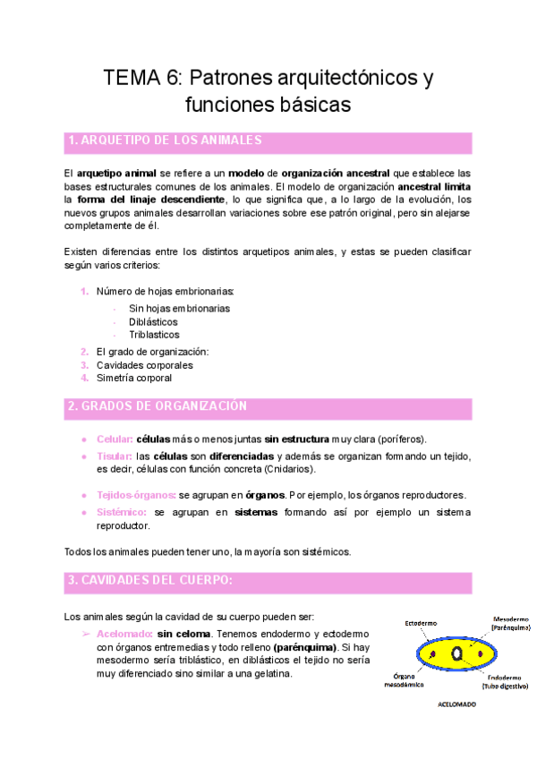 Miniatura del documento TEMA-6-Patrones-arquitectonicos-y-funciones-basicas.pdf